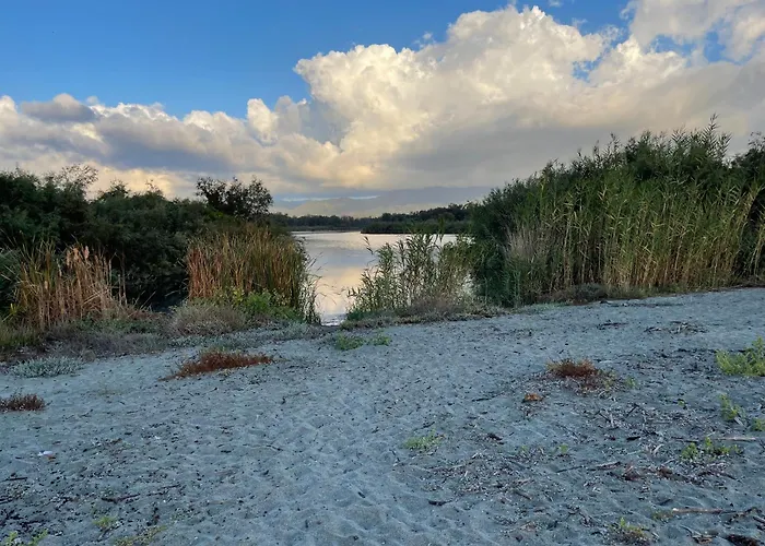 T2 Bord De N165 * Лингиццета