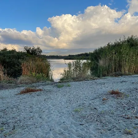 T2 Bord De N165 * Linguizzetta